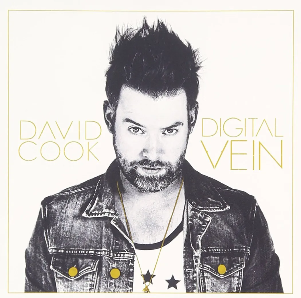 david cook digital vein