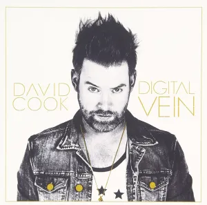 david cook digital vein