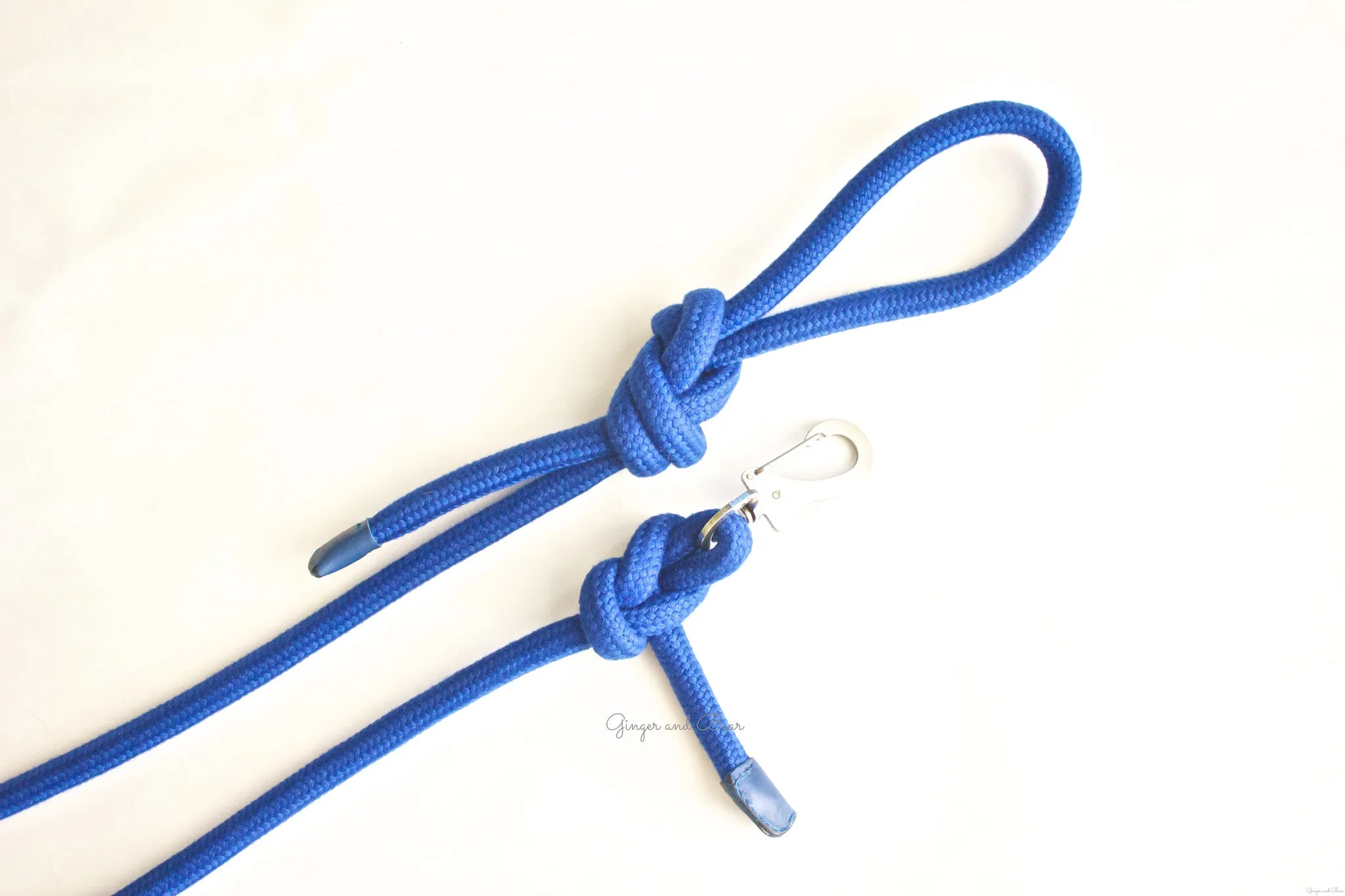 Dog Lead: Blue Rope