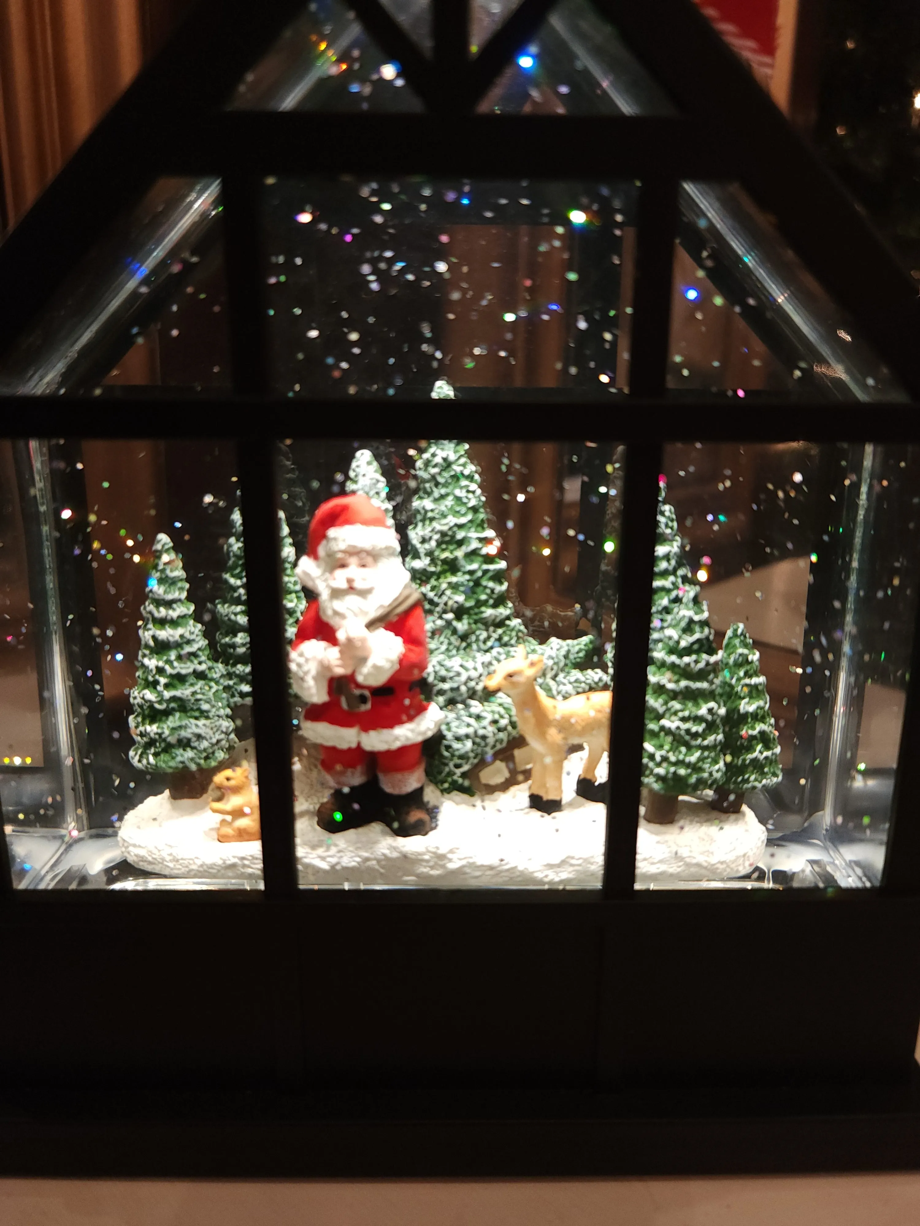 Greenhouse Santa Lantern