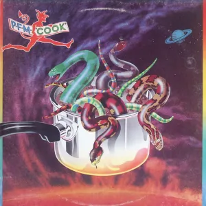 P.F.M. COOK vinyl record