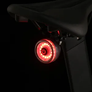 Smart Bike Tail Light 260 Degree Visibility Brake Sensing Bicycle Rear Lights for Night Ride, USB Rechargeable IPX4 Waterproof, 4 Light Mode for Adults Kids Men Women Road Mountain Cycling